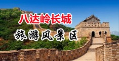 操巴女网站中国北京-八达岭长城旅游风景区