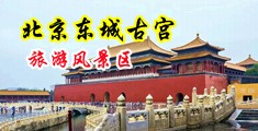 女生裸体露出骚逼被鸡巴操中国北京-东城古宫旅游风景区